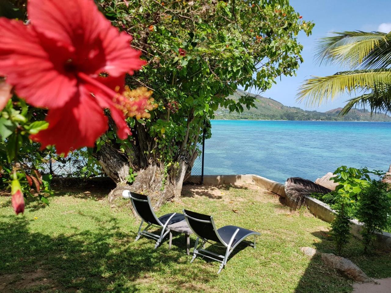 Coin D'Or Villa Anse Volbert Village Eksteriør billede